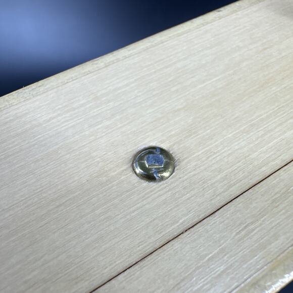 Vintage Enid Collins of Texas GLITTERBUGS Wooden Box Bag Purse 1960s NO HANDLE - Picture 3 of 16